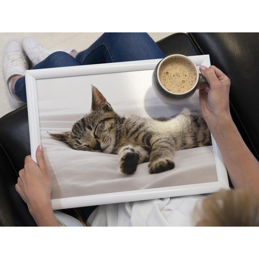 KITTEN CUSHION-TRAY 44X34CM, Creative Tops