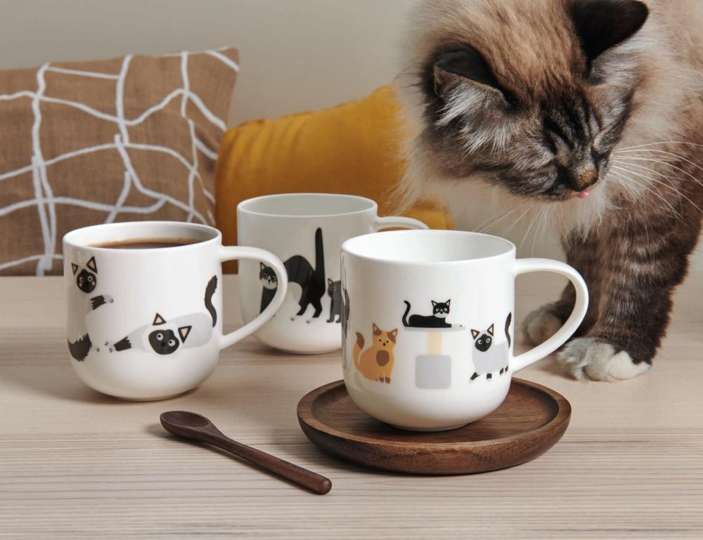 COPPA MUG SURPRISED CATS  0.4L, ASA Selection