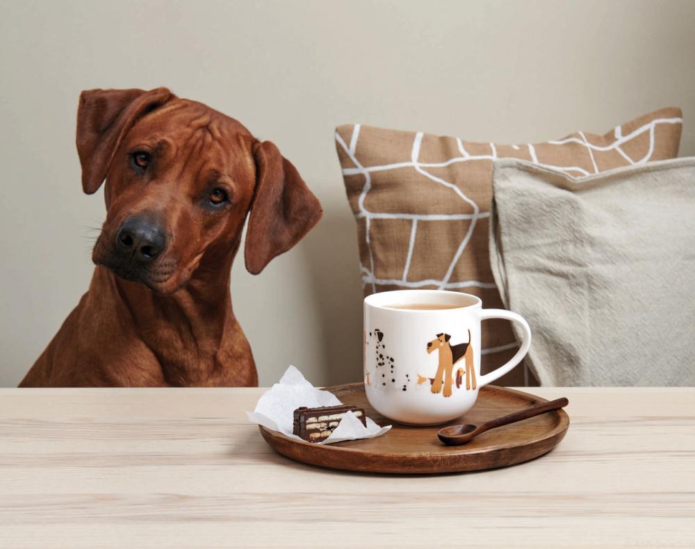 COPPA MUG BASSET HOUND  0.4L, ASA Selection