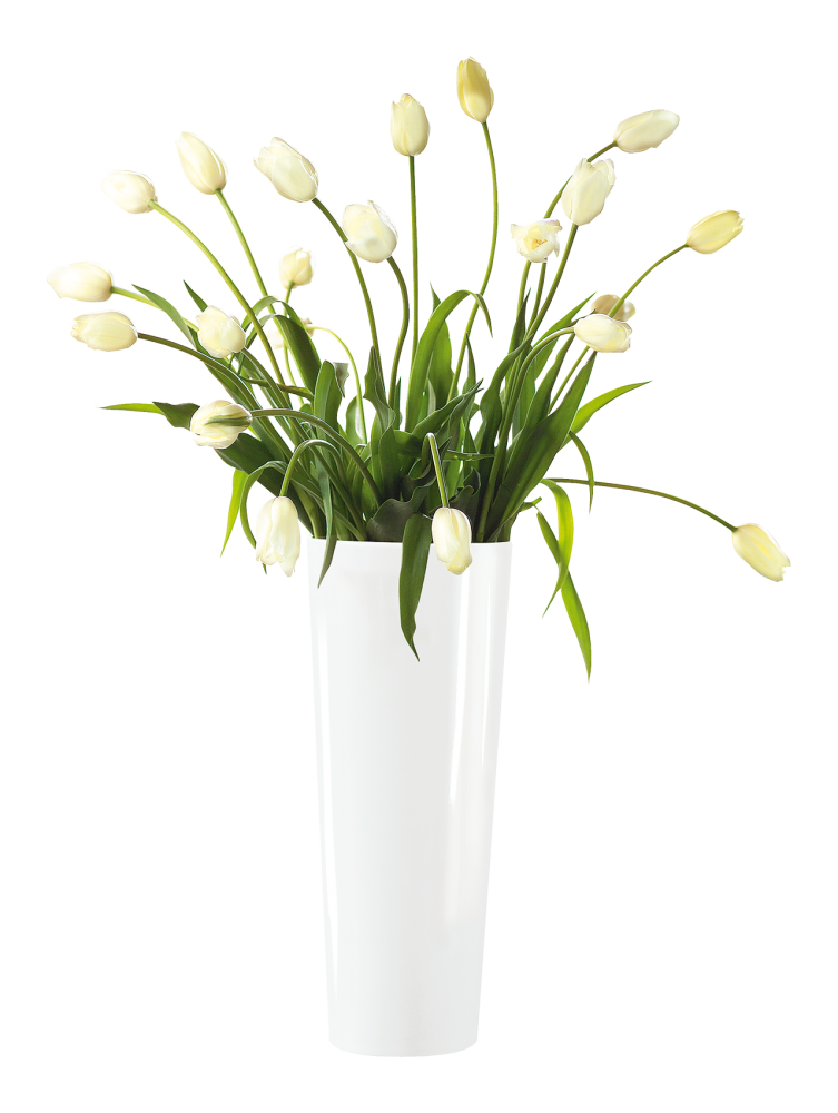 MONO VAAS 45CM, VALGE, ASA Selection