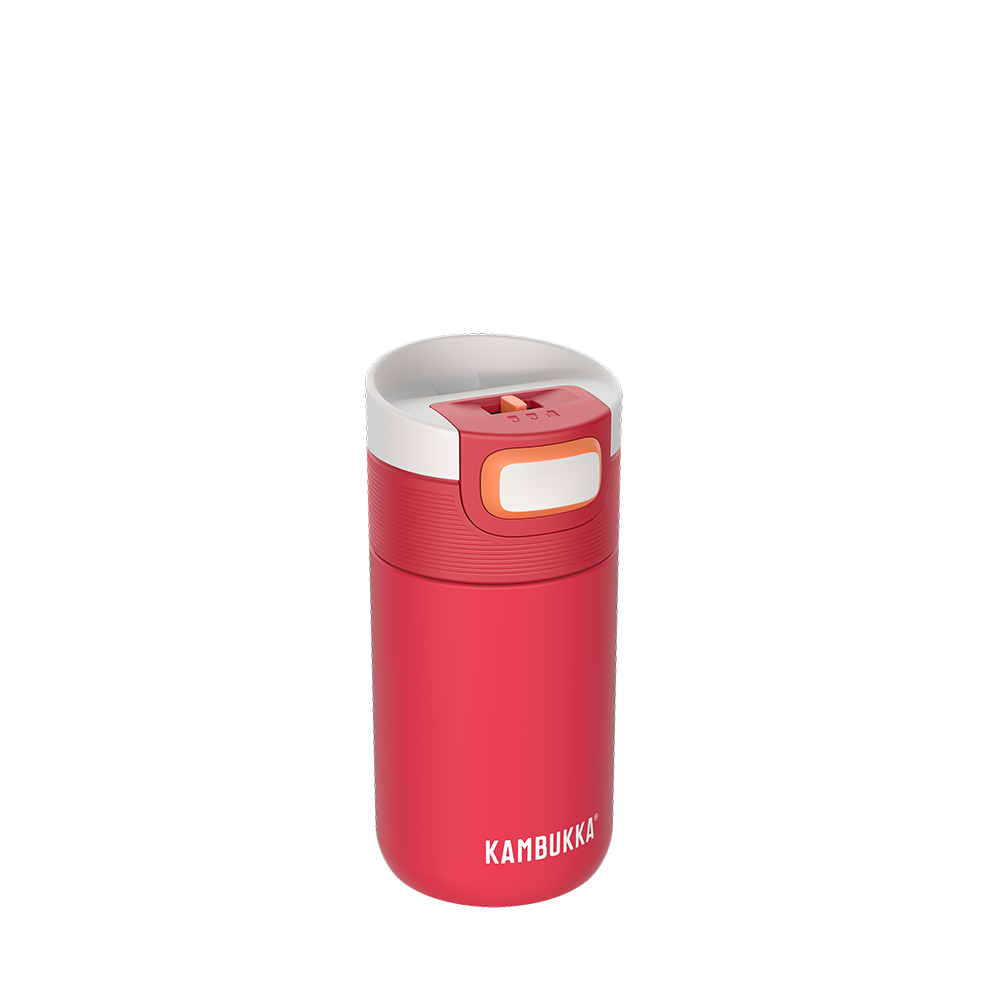 ETNA TERMOKRŪZE 300ML, MATĒTA, KORAĻĻU KRĀSĀ, NER.TĒR, Kambukka